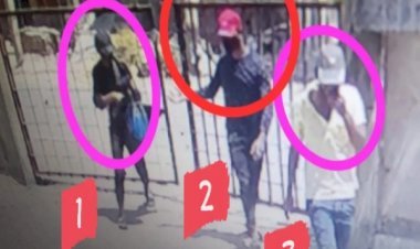 आरा में बैंक लूटने की कोशिश, बंदूक से नहीं चली गोली तो भागे बदमाश...