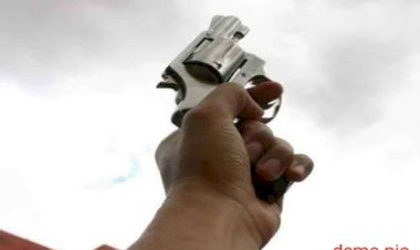 आरा : शाहपुर में अवैध हथियार चमकाते वीडियो वायरल...