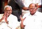क्या शरद पवार विपक्षी गठबंधन का प्रमुख चेहरा होंगे? नीतीश कुमार ने दिया जवाब...