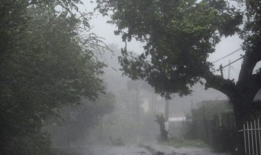 मौसम विभाग ने जारी किया येलो  अलर्ट , 22 से 24 तक तेज हवा के साथ  भारी बारिश की आशंका ,मिलेगी गर्मी से राहत ।