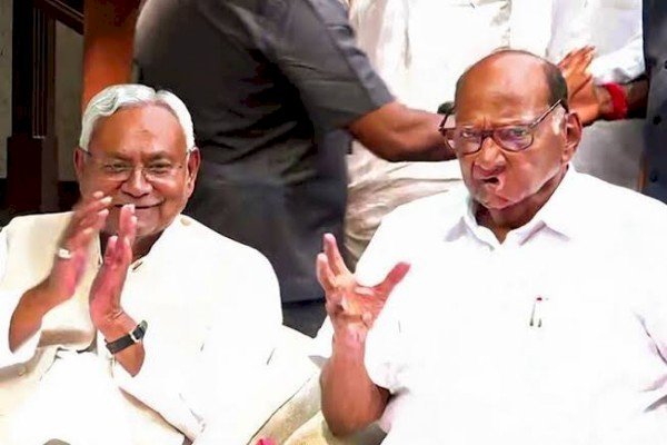 क्या शरद पवार विपक्षी गठबंधन का प्रमुख चेहरा होंगे? नीतीश कुमार ने दिया जवाब...