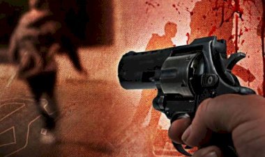 दालान में सो रहे युवक को अपराधियों ने गोलियों से भूना, हालत गंभीर...