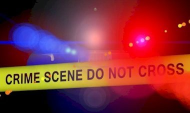 आरा : गलती से खेत में चली गयी थी गाय, माफी मांगने के बाद भी मार दी गोली...