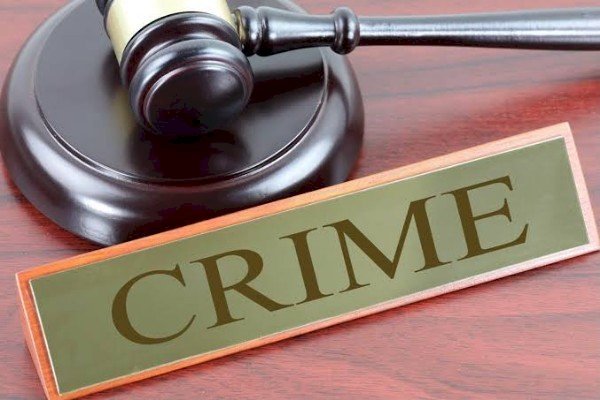 फाइनेंस कंपनियों की मनमानी पर नहीं लग रही रोक, आरा–पटना में बीच रास्ते से वसूली एजेंट उठा ले रहे गाड़ी...