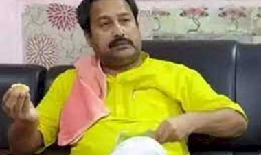 हाथी की सवारी बीजेपी विधायक को पड़ा महंगा -कोर्ट ने खारिज की याचिका .. क्या है पूरा मामला ?