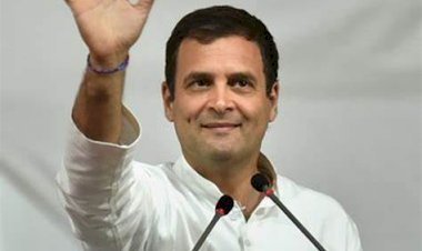 राहुल गांधी की रक्षा मामलों संबंधी संसद की स्थायी समिति का सदस्य नामित किया गया.. पूरी जानकारी ?