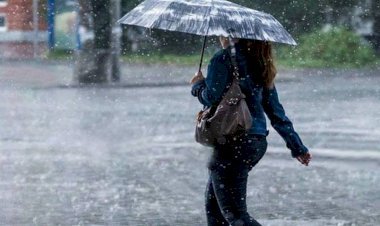 मौसम विभाग ने जारी किया अलर्ट ,इन जिलों में होगी भारी वर्षा .. पूरी जानकारी ?