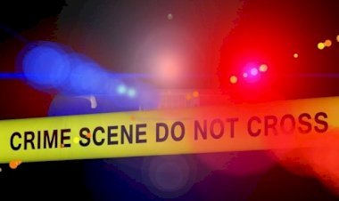 आरा में गाड़ी खड़ा करने के विवाद में हुई गोलीबारी...