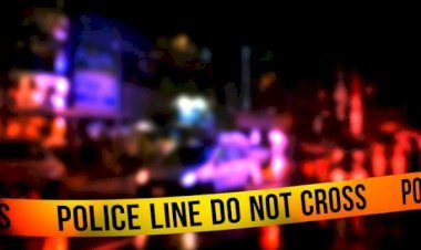 आरा : घर से सब्‍जी लेने निकले युवक का सड़क किनारे मिला शव, पिता ने भाई के ससुराल वालों पर जताई हत्या की आशंका...