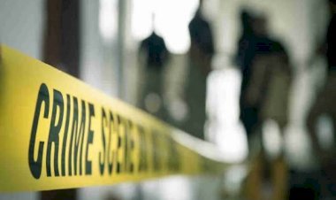 आरा : गहरी नींद में सो रहे बुजुर्ग को बदमाशों ने मारी गोली, मौत...