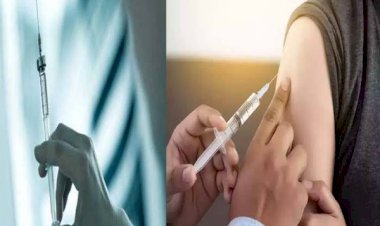 आरा : जहरीली सुई देने से युवक की मौत, परिजनों ने गांव के ही व्यक्ति पर लगाया मारने का आरोप...