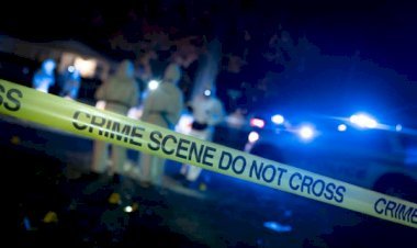 आरा : कार सवार बदमाशों ने ट्रक चालक को मारी गोली, मौत...