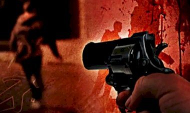 आरा : दो युवकों को अपराधियों ने मारी गोली, एक साल पहले हुई थी पिता की हत्या...