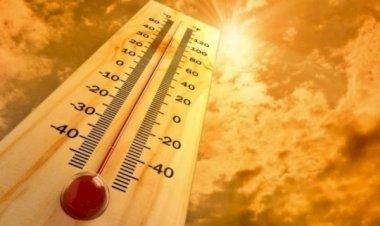 आरा में हीट स्ट्रोक से तीन की मौत...