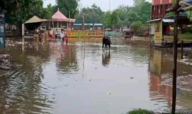 बारिश ने खोली आरा नगर निगम की पोल, शहर में जलजमाव से बढ़ी परेशानी...