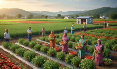 बिहार के हर पंचायत में बनेगा 15 एकड़ का प्रॉफिट जोन, टमाटर-मिर्च-लहसुन से बढ़ेगी किसानों की आय