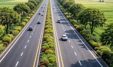 पटना-डोभी के बीच 130 किमी ग्रीन कॉरिडोर, सड़क किनारे लगेंगे फलदार पेड़ !