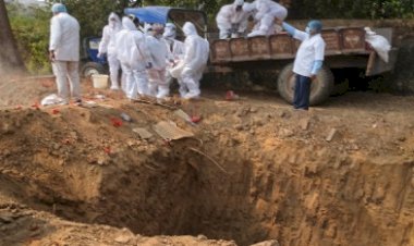 होली से पहले बिहार के इस जिले में 5 हजार मुर्गों की मौत, बर्ड फ्लू की आशंका से दहशत !