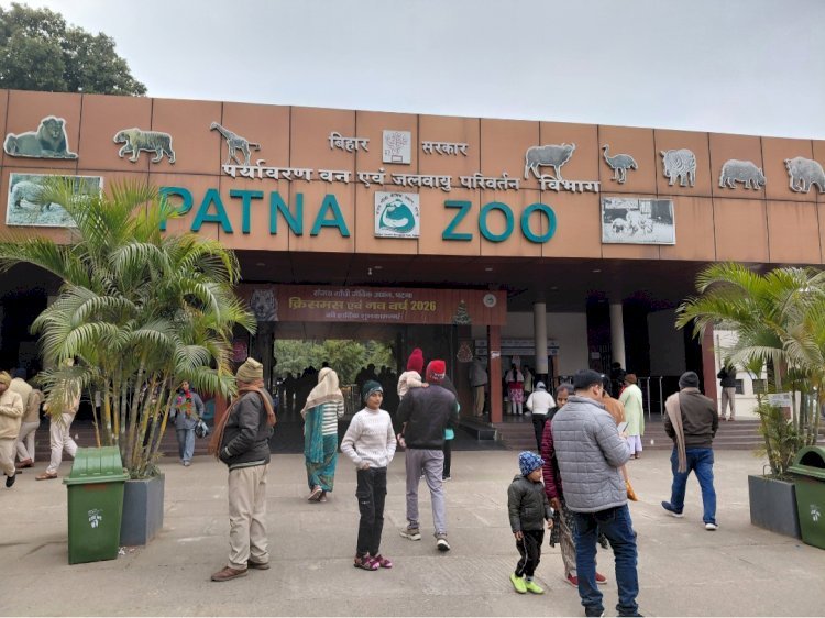 राजगीर की दो शेरनियां अब पटना जू में, ऑनलाइन बुकिंग शुरू होने का इंतजार !